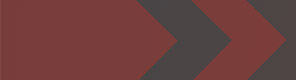 Baner na stronie AnyDesk Ultimate