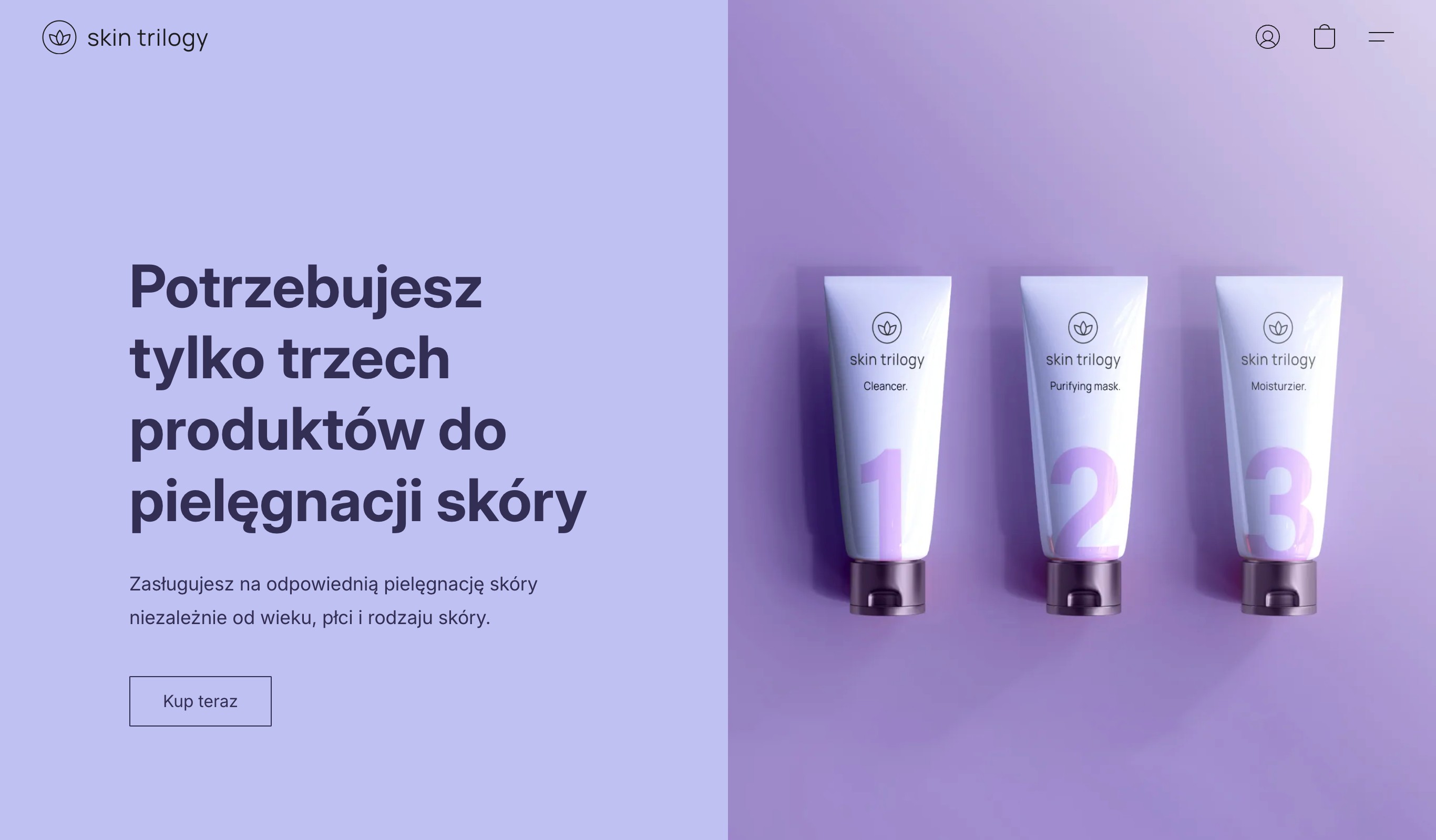 Przykładowa szata graficzna dla branży kosmetycznej